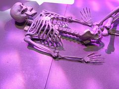 -友坐OMNI(民园广场店)