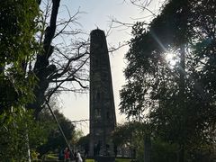 -上海佘山国家森林公园天马山园