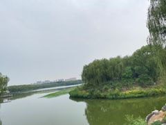 -大兴滨河森林公园