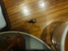 -花溪雨·森林餐厅(石基店)