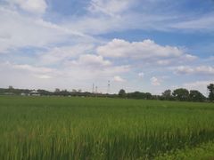 -嘉北郊野公园