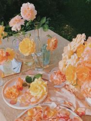 点击看大图 -THE QUEEN(北京店)