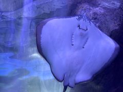 -常州海昌海洋探索馆