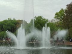 -上海共青森林公园