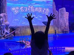 -华夏文旅海洋公园