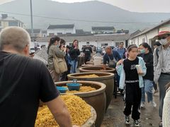 -苏州市吴中区光福窑上花果蜜饯厂