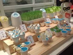 -SEA西雅图海鲜自助餐厅(正义店)