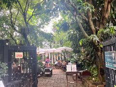 -Fern Forest Cafe