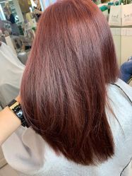 -潘多拉Hairsalon