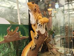 -南宫五洲植物乐园