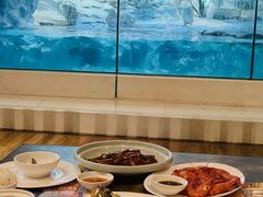 -帝企鹅自助餐厅•儿童岛•真企鹅(长隆企鹅酒店)