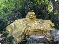 -紫金山山顶公园