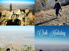 -大觉寺-停车场