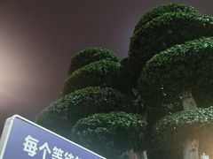 -小天鹅火锅·一线江景洪鼎旗舰店(洪崖洞店)