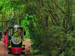 -上海共青森林公园