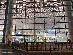 -哈尔滨太平国际机场-T2航站楼
