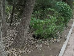-汤沐邑温泉会馆