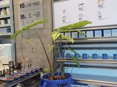 -CUBIC3三立方咖啡(凌空SOHO店)