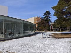 -金泽21世纪美术馆