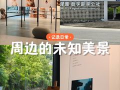 -泽雅景区