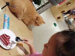 -藏猫猫咖啡主题馆(中央大道店)