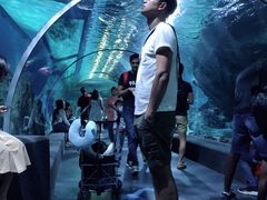 -暹罗海洋世界