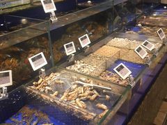 水产区-高佳庄·舟山海鲜(海景旗舰店)