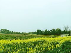 -白鹭湾湿地公园