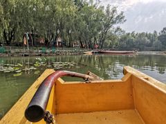 -东方巨龟苑景区