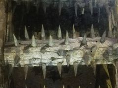 -水洞沟旅游区