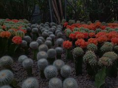 -南山植物园