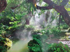 -Chom Cafe and Restaurant