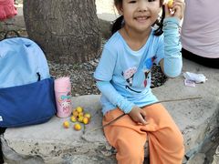 -大觉寺-停车场