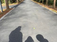 -东平国家森林公园