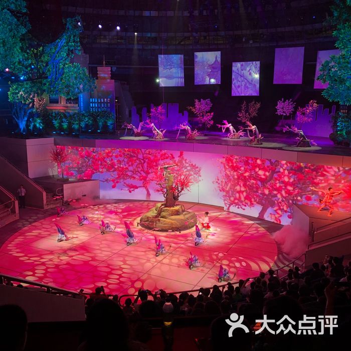 武汉杂技厅图片-北京更多文化艺术-大众点评网