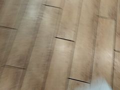 -叁拾壹克饺子·东北菜(国贸店)