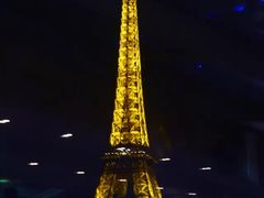 -Bateaux Mouches塞纳河游船