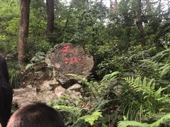 -青龙山国家森林公园