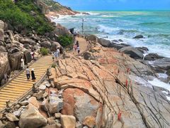 -广东惠东海龟国家级自然保护区