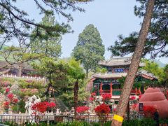 -红螺寺