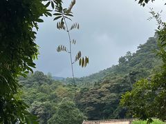 -广州市石门国家森林公园