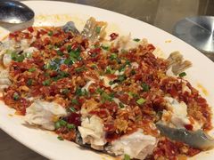 河豚鱼-大厝宅海鲜馆