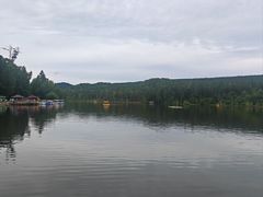 -五营红松林海景区