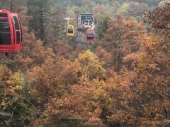 -洛阳白云山景区