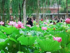 -四川大学(望江校区)
