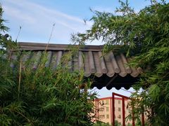 -大湾区中央湿地公园