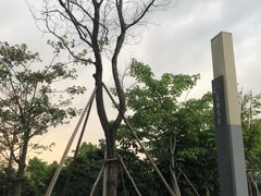 -广州神农草堂中医药博物馆