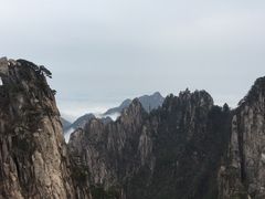 -自游人·美食一楼·地道徽菜(三十年名店)