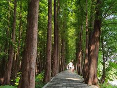 -星湖旅游景区七星岩