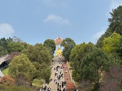 -庐山风景名胜区-东林大佛